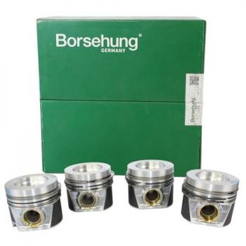 Êmbolo B19302 Borsehung