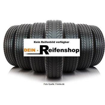 Goodyear Eagle Sport All-Season ROF (255/45 R20 105V XL, with tire protector (MFS), runflat, MOE)