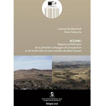 Aquam. Rapport préliminaire de la première campagne de prospection et de fouille dans la zone minière du Jebel Aouam. Ediz. italiana, inglese e francese (Vol. 1)