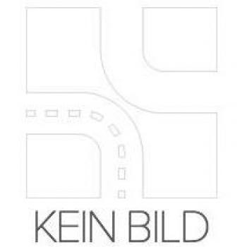 Espelho HELLA 9EY 117 126-014