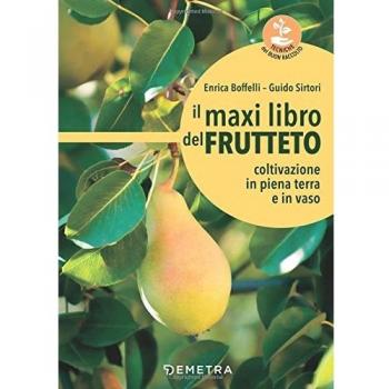 Il maxi libro del frutteto: Coltivazione in piena terra e in vaso