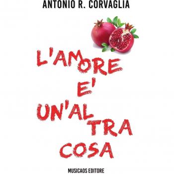 L'amore è un'altra cosa