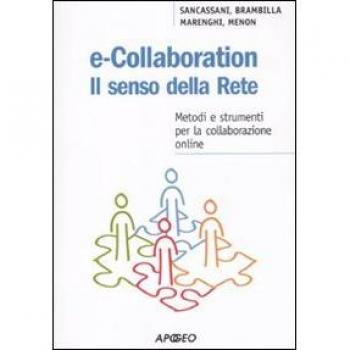 E-collaboration. Il senso della rete. Metodi e strumenti per la collaborazione online