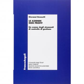 Le aziende non profit. Un esame degli strumenti di controllo di gestione