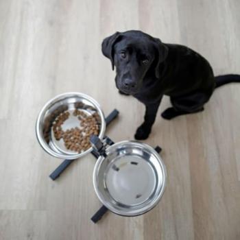 Comedero para Perro Kerbl Doble 2,8 L