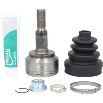 Jogo de Apoios de Transmissão PASCAL G1Y011PC