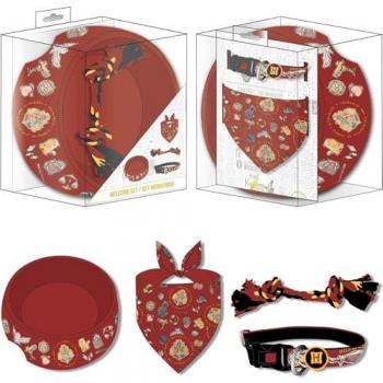 Bienvenida Mágica Para Mascotas