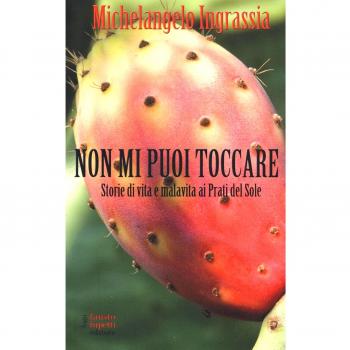 Non mi puoi toccare. Storie di vita e malavita ai Prati del Sole