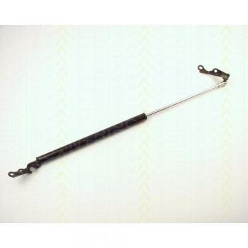 Amortecedor da mala Triscan 8710 13287