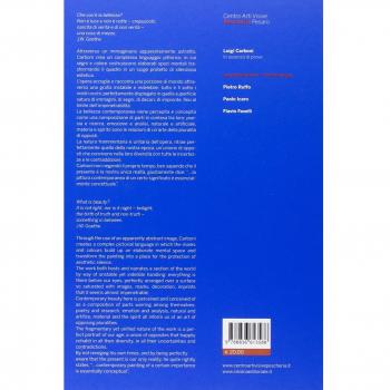 Luigi Carboni. In assenza di prove. Catalogo della mostra