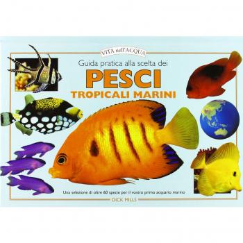 Guida pratica alla scelta dei pesci tropicali marini