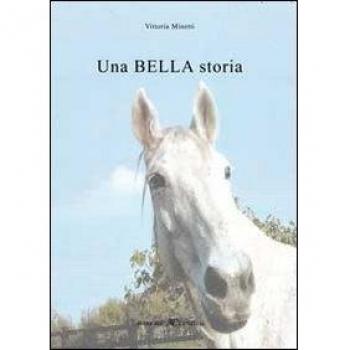 Una bella storia