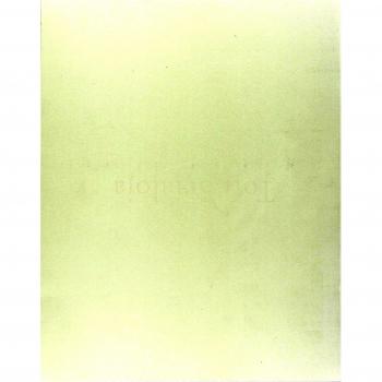 Toti Scialoja. Pittura e poesia. Opere su carta. Catalogo della mostra (Roma, 26 novembre 2004-8 gennaio 2005)