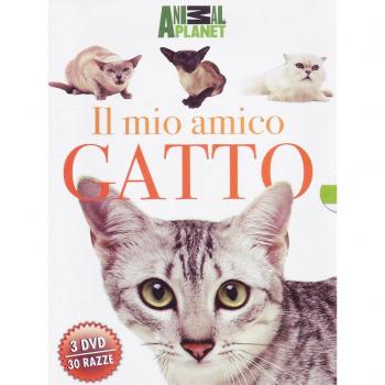 Il mio amico gatto