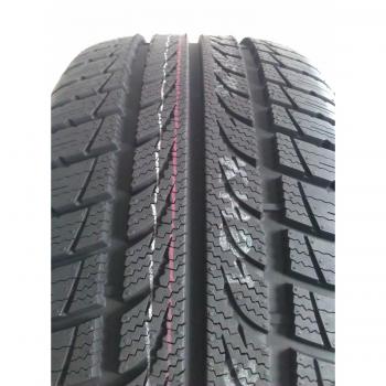 Maxxis Pro R1