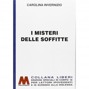 I misteri delle soffitte. Ediz. per ipovedenti
