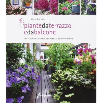 Piante da terrazzo e da balcone. I consigli dell'esperto per terrazzi e balconi fioriti