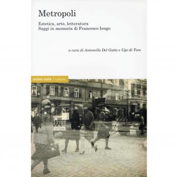 Metropoli. eEstetica, arte, letteratura. Saggi in memoria di Francesco Iengo