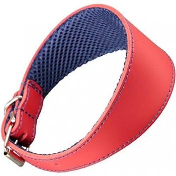 Collar Galgo en Cuero Arppe