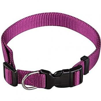 Collar de Nylon Básico Arppe Morado, M, 1 unidad