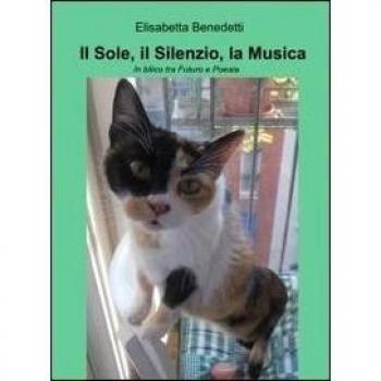 Il sole, il silenzio, la musica