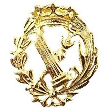 Inmaculada Romero IR Insignia Profesional Filosofía y Letras Escudo Plata 925m Ley 16mm. Pin Chapado Oro