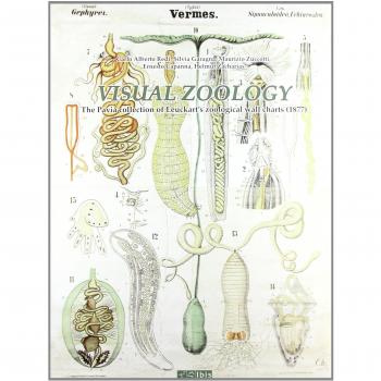 Visual zoology. The Pavia collection of Leuckart's zoological wall charts (1877). Con CD-ROM
