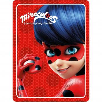Miraculous. Le storie di Ladybug e Chat Noir. Con adesivi. Ediz. a colori. Con Poster