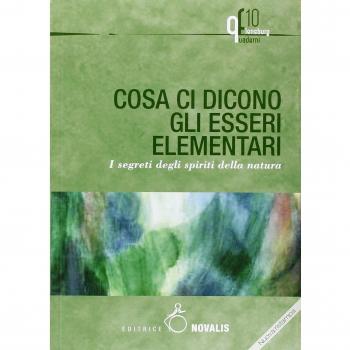 Cosa ci dicono gli esseri elementari. I segreti degli spiriti della natura