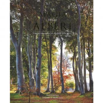 La magia degli alberi. Viaggio fotografico tra i giganti della terra. Ediz. illustrata