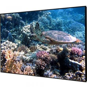 Celexon HomeCinema Schermo Proiezione 100 ALR