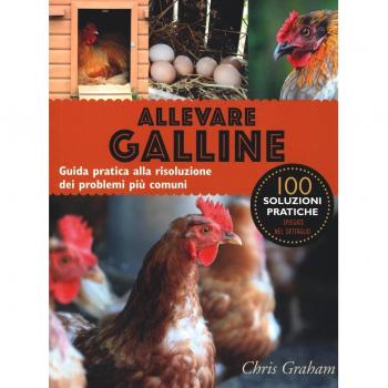 ALLEVARE GALLINE