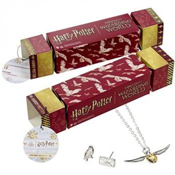 Caja Regalo Harry Potter Hedwig Colgante y Pendientes