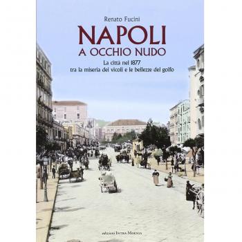 Napoli a occhio nudo. La città nel 1877 tra la miseria dei vicoli e le bellezze del golfo