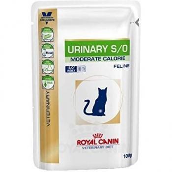 Royal Canin dieta para gatos Urinary s/o moderate calorie húmedo