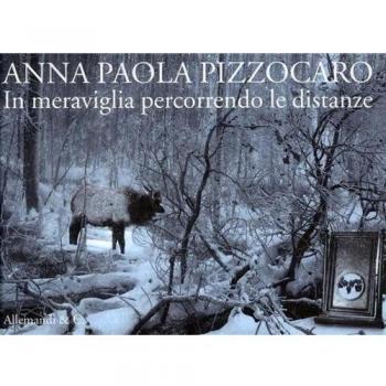 Anna Paola Pizzocaro. In meraviglia percorrendo le distanze. Ediz. italiana e inglese