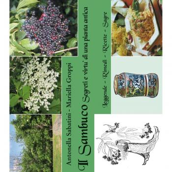 Il sambuco. Segreti e virtù di una pianta antica
