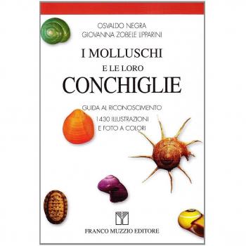 I molluschi e le loro conchiglie. Guida al riconoscimento