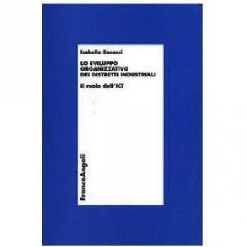 Lo sviluppo organizzativo dei distretti industriali. Il ruolo dell'ICT
