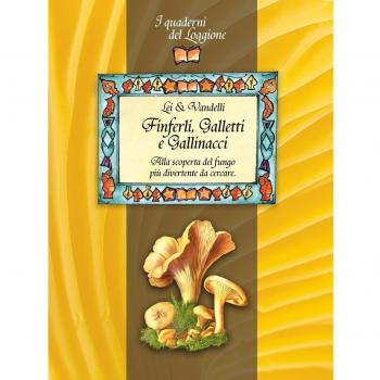 Finferli, galletti e gallinacci. Alla scoperta del fungo più divertente da cercare