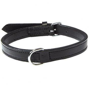 TRIXIE Collar Active para Perros