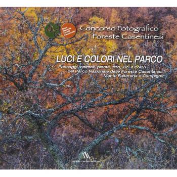 Concorso fotografico foreste casentinesi. Luci e colori nel parco