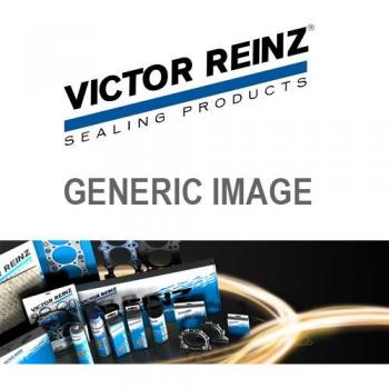 Jogo de Juntas Haste da Válvula REINZ 12-26058-08