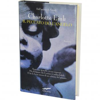 PECCATO DELL'ANGELO (IL)