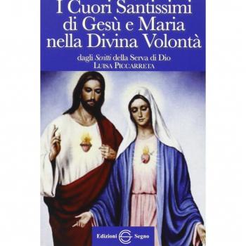 Libro di cielo 1. I cuori santissimi di Gesù e Maria nella divina volontà