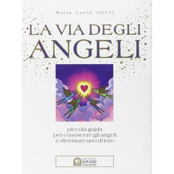 La via degli angeli. Piccola guida per conoscere gli angeli e diventare uno di loro