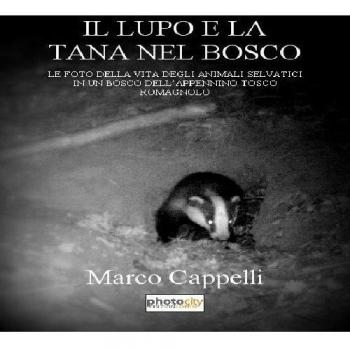Il lupo e la tana nel bosco. Le foto della vita degli animali selvatici in un bosco dell'Appennino tosco-romagnolo