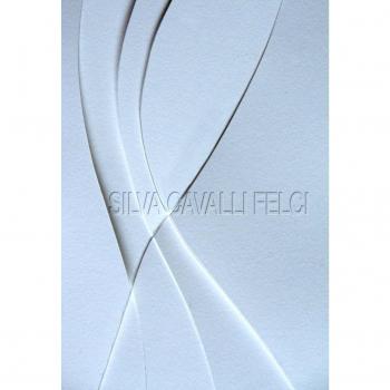 Silva Cavalli Felci. La vita è insufficiente. Ediz. illustrata