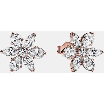 Pendientes Pandora Timeless Herbario Brillantes con circonitas, referencia 282407C01