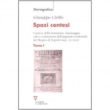 Spazi contesi. Camera della Sommaria, baronaggio, città e costruzione dell'apparato territoriale del Regno di Napoli (secc. XV-XVIII) (Vol. 1)